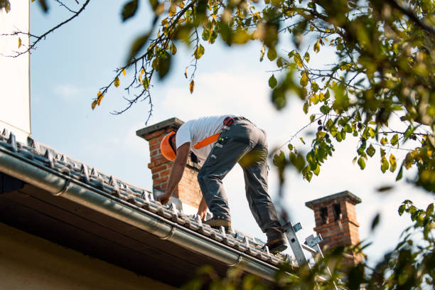 Best Roof Leak Repair  in Eustace, TX