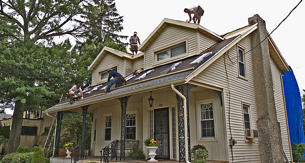 Best Shingle Roofing Installation  in Eustace, TX