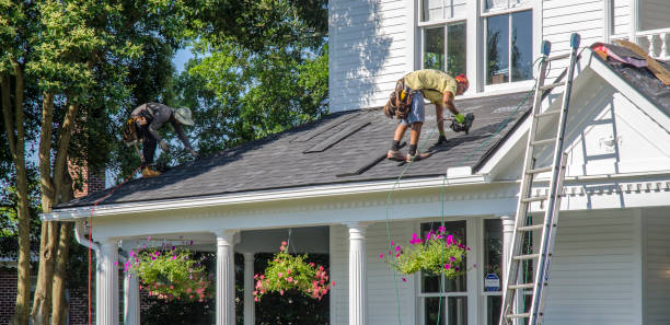 Best Roof Gutter Cleaning  in Eustace, TX